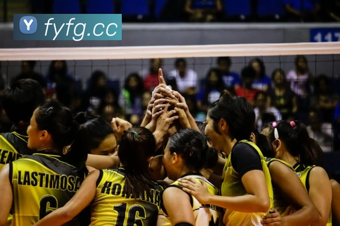 九游网页版本官网APP 封面图